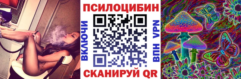 Купить где  Спас-Деменск  Псилоцибиновые грибы Psilocybine cubensis 